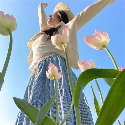 独家新闻的雏鸟